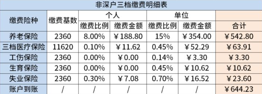 非深户三档社保缴费明细